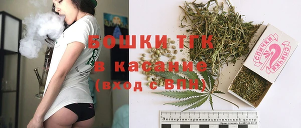 меф Новодвинск
