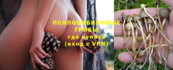 меф Новодвинск