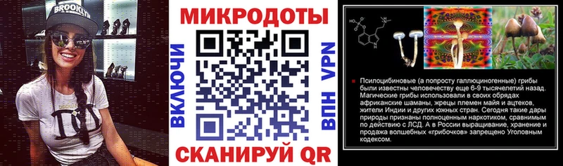 Псилоцибиновые грибы Psilocybine cubensis  Североморск 