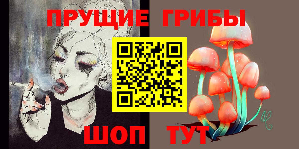 Галлюциногенные грибы мицелий  дарнет шоп  Псилоцибиновые грибы мухоморы  Североморск 