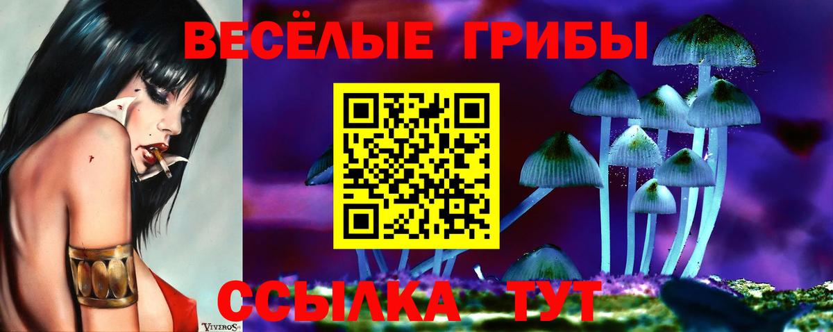 Псилоцибиновые грибы мухоморы Североморск