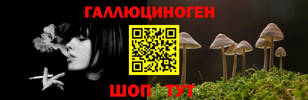 Псилоцибиновые грибы Magic Shrooms Североморск